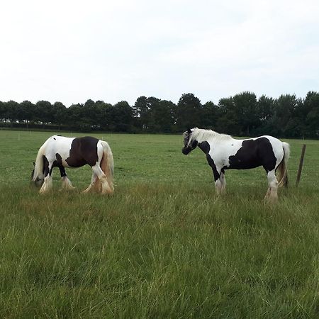 Minicamping Dorpszicht Gapinge Exterior foto
